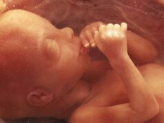 Is It Possible to Test for Autism in the Womb? Test for Autism in the Womb