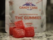 Farm to Shelf: The Benefits of Using White Label Hemp Gummies for Your Product Line Hemp Gummies